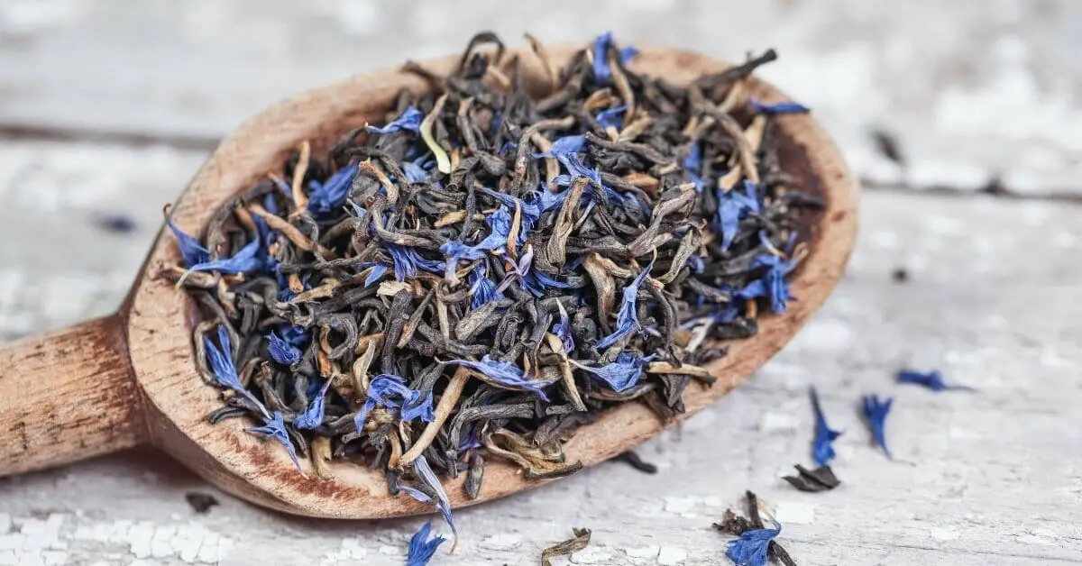 7 Amazing Earl Grey Tea Health Benefits: Digestion, Anxiety & Cancer