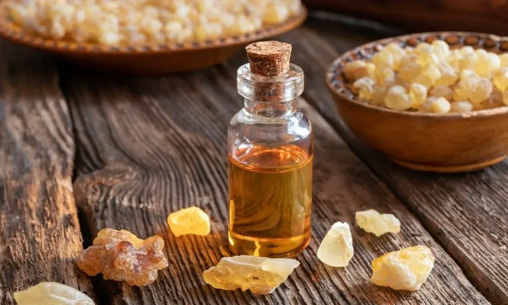 Frankincense Essential Oils And Pets