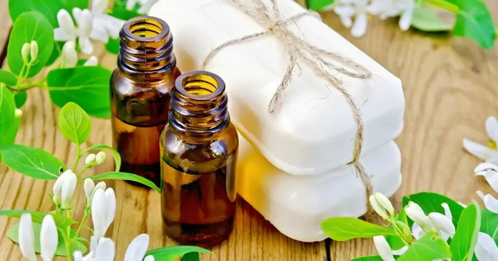 Honeysuckle Essential Oil Benefits