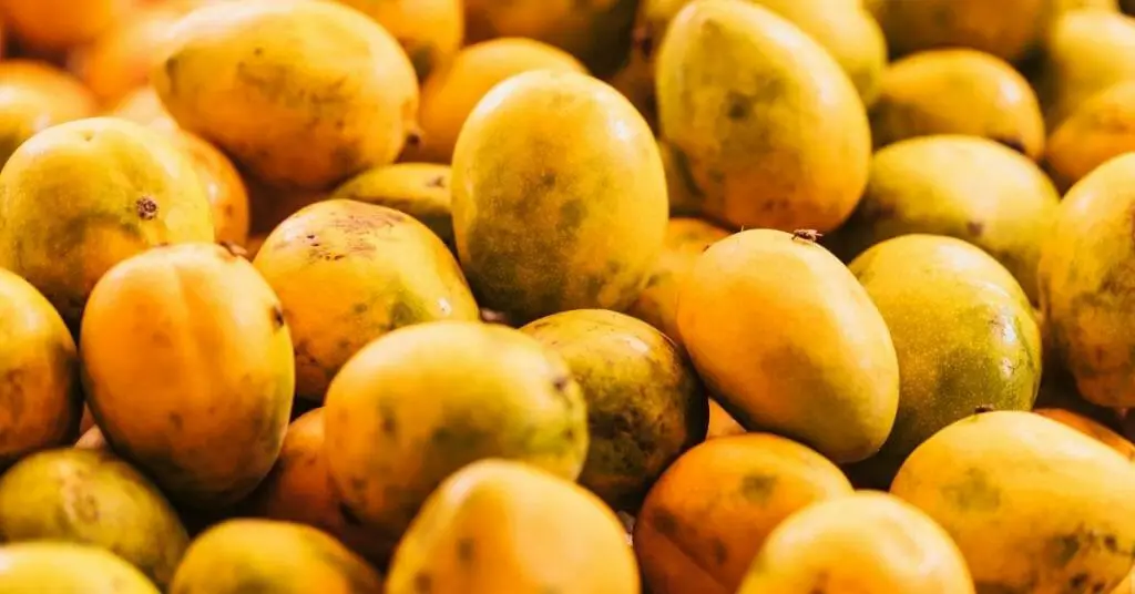 chesa fruits canistel fruit health benefits