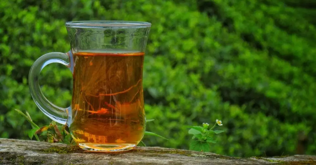 darjeeling tea benefits thumbnail