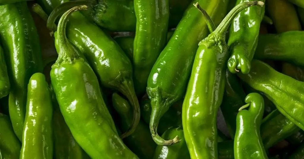 shishito peppers health benefits thumbnail