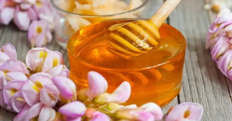 5 Amazing Acacia Honey Benefits For Your Health & Wellness