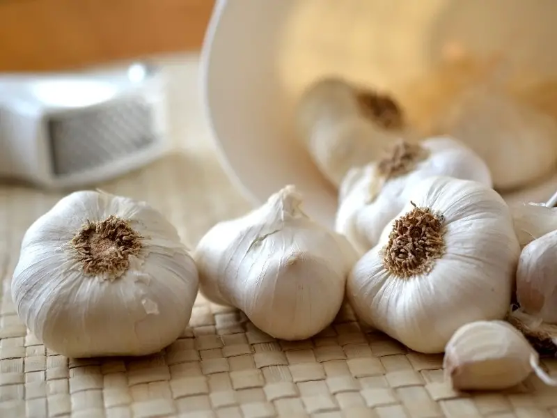 What Is Garlic